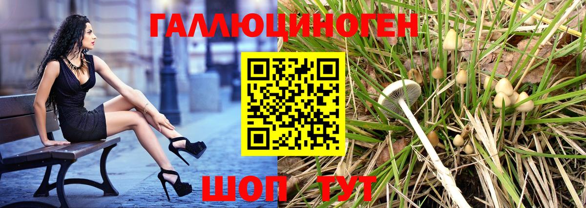 Псилоцибиновые грибы мицелий  Вход с VPN  Псилоцибиновые грибы мухоморы  Анапа 